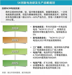 5月新能源乘用車市場增速放緩，投資管理面臨新考量